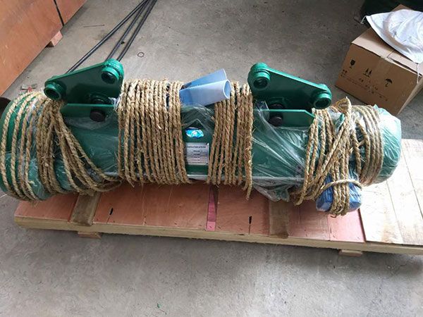 Wire rope electric hoist